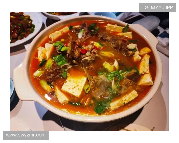 《家常菜》：一部温暖人心的电视剧，品味生活百味